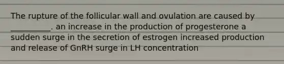 The rupture of the follicular wall and ovulation are caused by __________. an increase in the production of progesterone a sudden surge in the secretion of estrogen increased production and release of GnRH surge in LH concentration