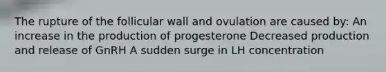 The rupture of the follicular wall and ovulation are caused by: An increase in the production of progesterone Decreased production and release of GnRH A sudden surge in LH concentration