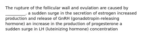 The rupture of the follicular wall and ovulation are caused by __________. a sudden surge in the secretion of estrogen increased production and release of GnRH (gonadotropin-releasing hormone) an increase in the production of progesterone a sudden surge in LH (luteinizing hormone) concentration