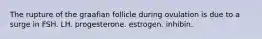 The rupture of the graafian follicle during ovulation is due to a surge in FSH. LH. progesterone. estrogen. inhibin.