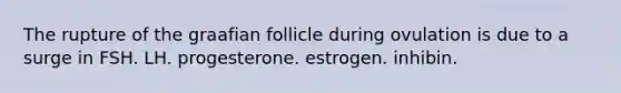 The rupture of the graafian follicle during ovulation is due to a surge in FSH. LH. progesterone. estrogen. inhibin.