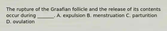 The rupture of the Graafian follicle and the release of its contents occur during _______. A. expulsion B. menstruation C. parturition D. ovulation