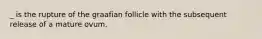 _ is the rupture of the graafian follicle with the subsequent release of a mature ovum.