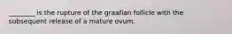 ________ is the rupture of the graafian follicle with the subsequent release of a mature ovum.