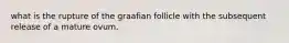 what is the rupture of the graafian follicle with the subsequent release of a mature ovum.