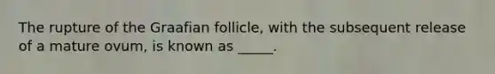 The rupture of the Graafian follicle, with the subsequent release of a mature ovum, is known as _____.