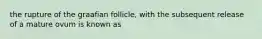 the rupture of the graafian follicle, with the subsequent release of a mature ovum is known as