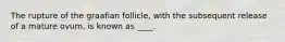 The rupture of the graafian follicle, with the subsequent release of a mature ovum, is known as ____.