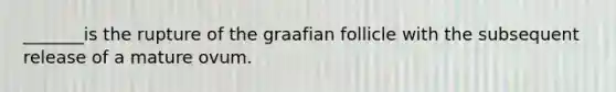 _______is the rupture of the graafian follicle with the subsequent release of a mature ovum.