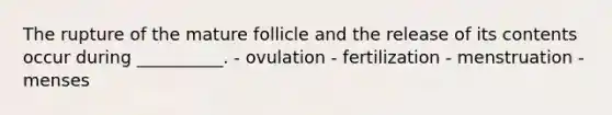 The rupture of the mature follicle and the release of its contents occur during __________. - ovulation - fertilization - menstruation - menses