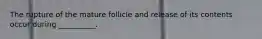 The rupture of the mature follicle and release of its contents occur during __________.