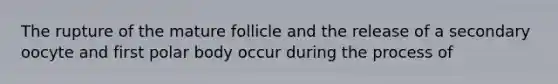 The rupture of the mature follicle and the release of a secondary oocyte and first polar body occur during the process of