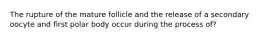 The rupture of the mature follicle and the release of a secondary oocyte and first polar body occur during the process of?