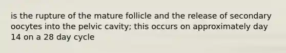 is the rupture of the mature follicle and the release of secondary oocytes into the pelvic cavity; this occurs on approximately day 14 on a 28 day cycle