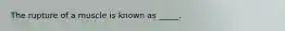 The rupture of a muscle is known as _____.