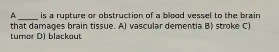 A _____ is a rupture or obstruction of a blood vessel to the brain that damages brain tissue. A) vascular dementia B) stroke C) tumor D) blackout