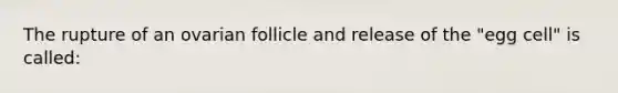 The rupture of an ovarian follicle and release of the "egg cell" is called: