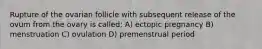 Rupture of the ovarian follicle with subsequent release of the ovum from the ovary is called: A) ectopic pregnancy B) menstruation C) ovulation D) premenstrual period