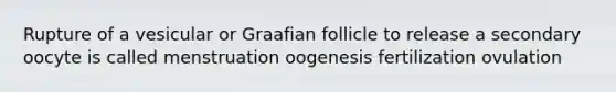 Rupture of a vesicular or Graafian follicle to release a secondary oocyte is called menstruation oogenesis fertilization ovulation