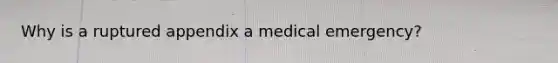 Why is a ruptured appendix a medical emergency?