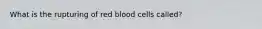 What is the rupturing of red blood cells called?