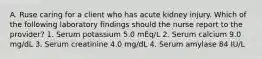 A. Ruse caring for a client who has acute kidney injury. Which of the following laboratory findings should the nurse report to the provider? 1. Serum potassium 5.0 mEq/L 2. Serum calcium 9.0 mg/dL 3. Serum creatinine 4.0 mg/dL 4. Serum amylase 84 IU/L