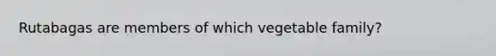 Rutabagas are members of which vegetable​ family?