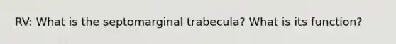 RV: What is the septomarginal trabecula? What is its function?