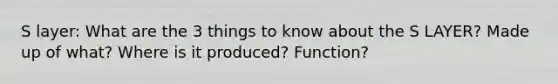 S layer: What are the 3 things to know about the S LAYER? Made up of what? Where is it produced? Function?