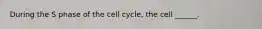 During the S phase of the cell cycle, the cell ______.