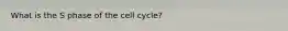 What is the S phase of the cell cycle?