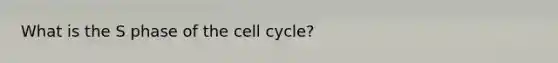 What is the S phase of the cell cycle?