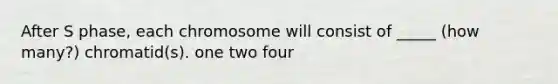 After S phase, each chromosome will consist of _____ (how many?) chromatid(s). one two four