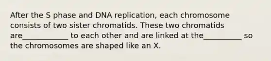 After the S phase and <a href='https://www.questionai.com/knowledge/kofV2VQU2J-dna-replication' class='anchor-knowledge'>dna replication</a>, each chromosome consists of two sister chromatids. These two chromatids are____________ to each other and are linked at the__________ so the chromosomes are shaped like an X.