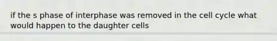 if the s phase of interphase was removed in the cell cycle what would happen to the daughter cells