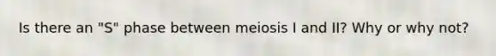 Is there an "S" phase between meiosis I and II? Why or why not?