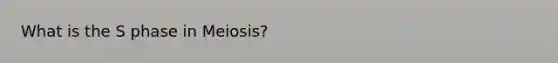 What is the S phase in Meiosis?