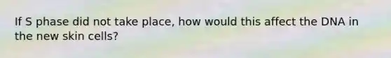If S phase did not take place, how would this affect the DNA in the new skin cells?