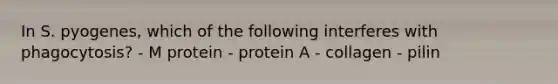 In S. pyogenes, which of the following interferes with phagocytosis? - M protein - protein A - collagen - pilin