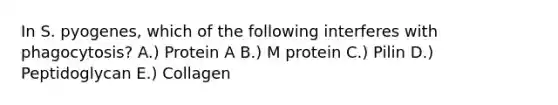 In S. pyogenes, which of the following interferes with phagocytosis? A.) Protein A B.) M protein C.) Pilin D.) Peptidoglycan E.) Collagen