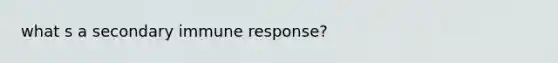 what s a secondary immune response?