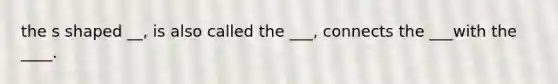 the s shaped __, is also called the ___, connects the ___with the ____.