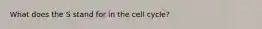 What does the S stand for in the cell cycle?