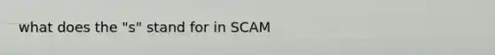 what does the "s" stand for in SCAM