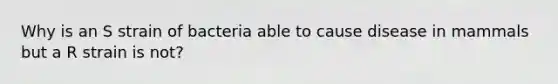 Why is an S strain of bacteria able to cause disease in mammals but a R strain is not?