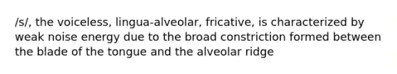 /s/, the voiceless, lingua-alveolar, fricative, is characterized by weak noise energy due to the broad constriction formed between the blade of the tongue and the alveolar ridge