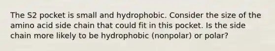 The S2 pocket is small and hydrophobic. Consider the size of the amino acid side chain that could fit in this pocket. Is the side chain more likely to be hydrophobic (nonpolar) or polar?