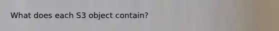 What does each S3 object contain?