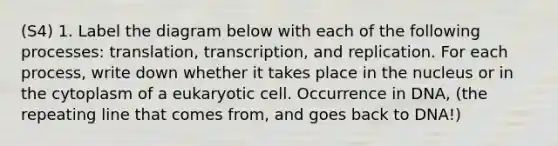 (S4) 1. Label the diagram below with each of the following processes: translation, transcription, and replication. For each process, write down whether it takes place in the nucleus or in the cytoplasm of a eukaryotic cell. Occurrence in DNA, (the repeating line that comes from, and goes back to DNA!)