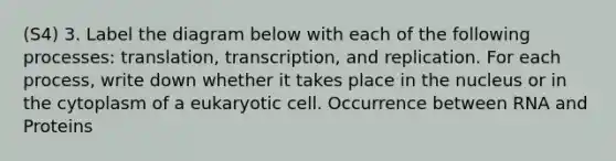 (S4) 3. Label the diagram below with each of the following processes: translation, transcription, and replication. For each process, write down whether it takes place in the nucleus or in the cytoplasm of a eukaryotic cell. Occurrence between RNA and Proteins